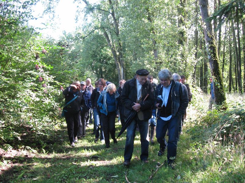 29_DF-51290_proefkwekerij van het Instituut voor Natuur en Bosonderzoek.jpg